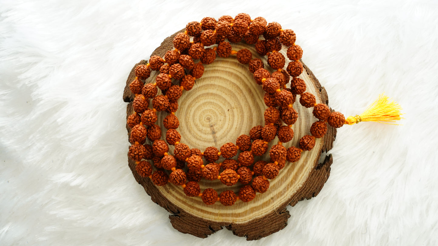 Rudraksha Mala – The Mala of Divine Protection, Peace & Spiritual Awakening